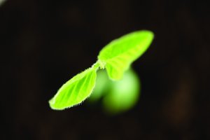 研发管理实操教程：手把手教你完成